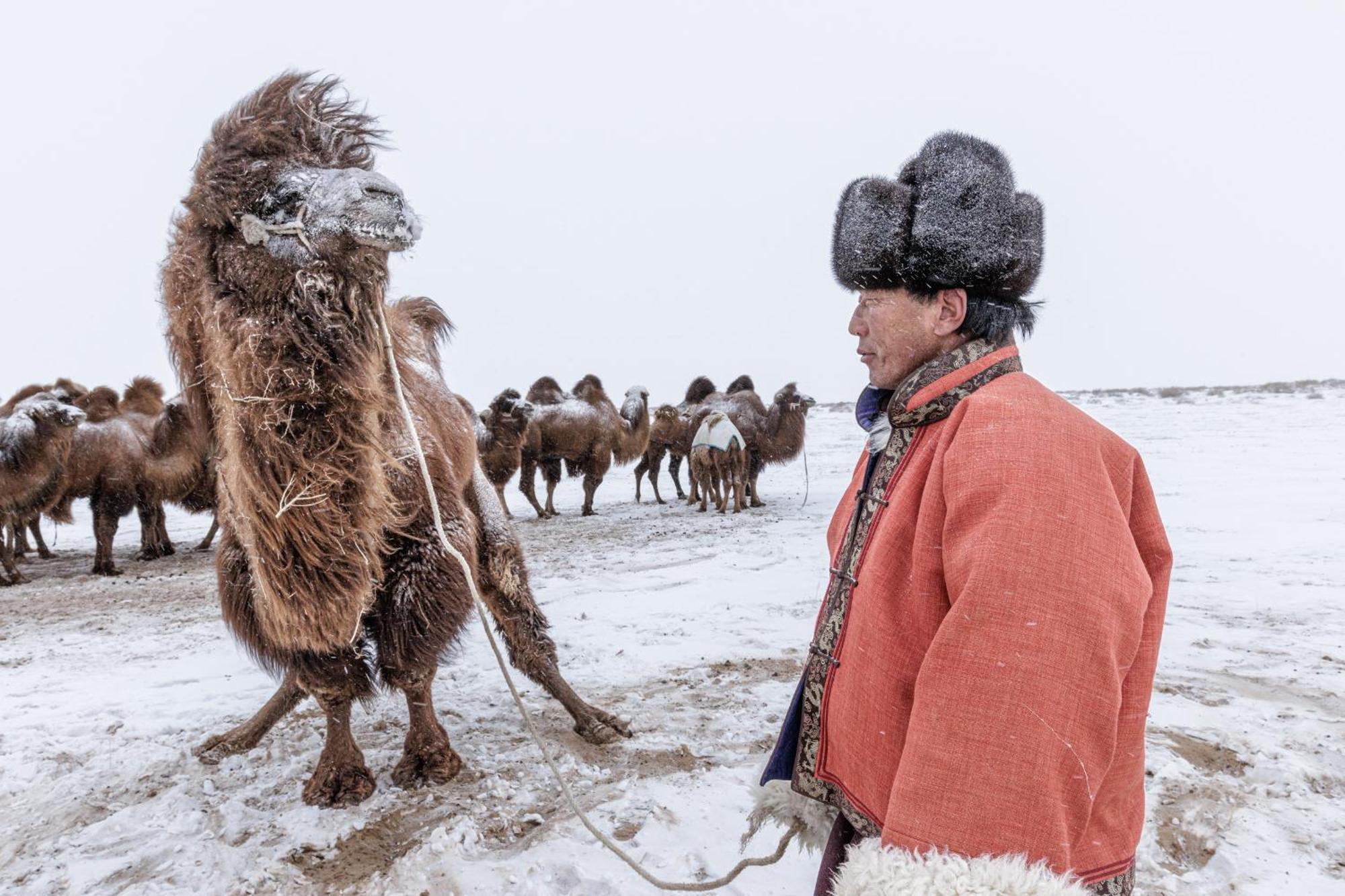 Gobi-Girl Ulan Bator Exterior foto