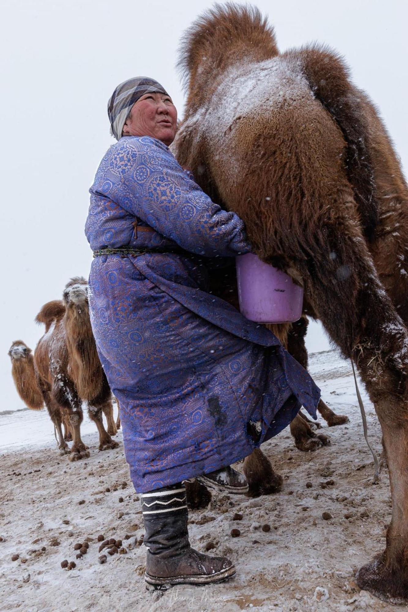 Gobi-Girl Ulan Bator Exterior foto