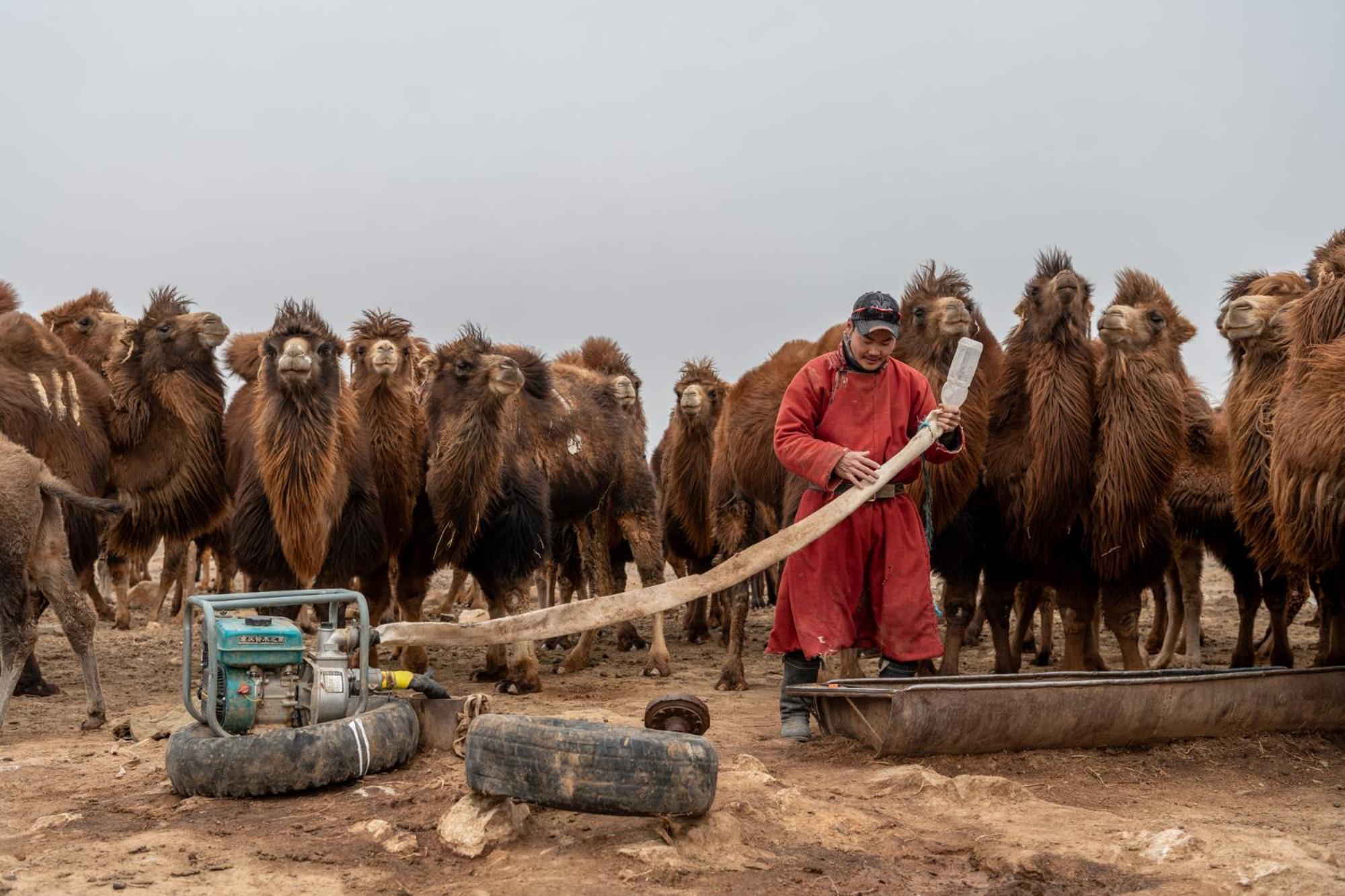 Gobi-Girl Ulan Bator Exterior foto