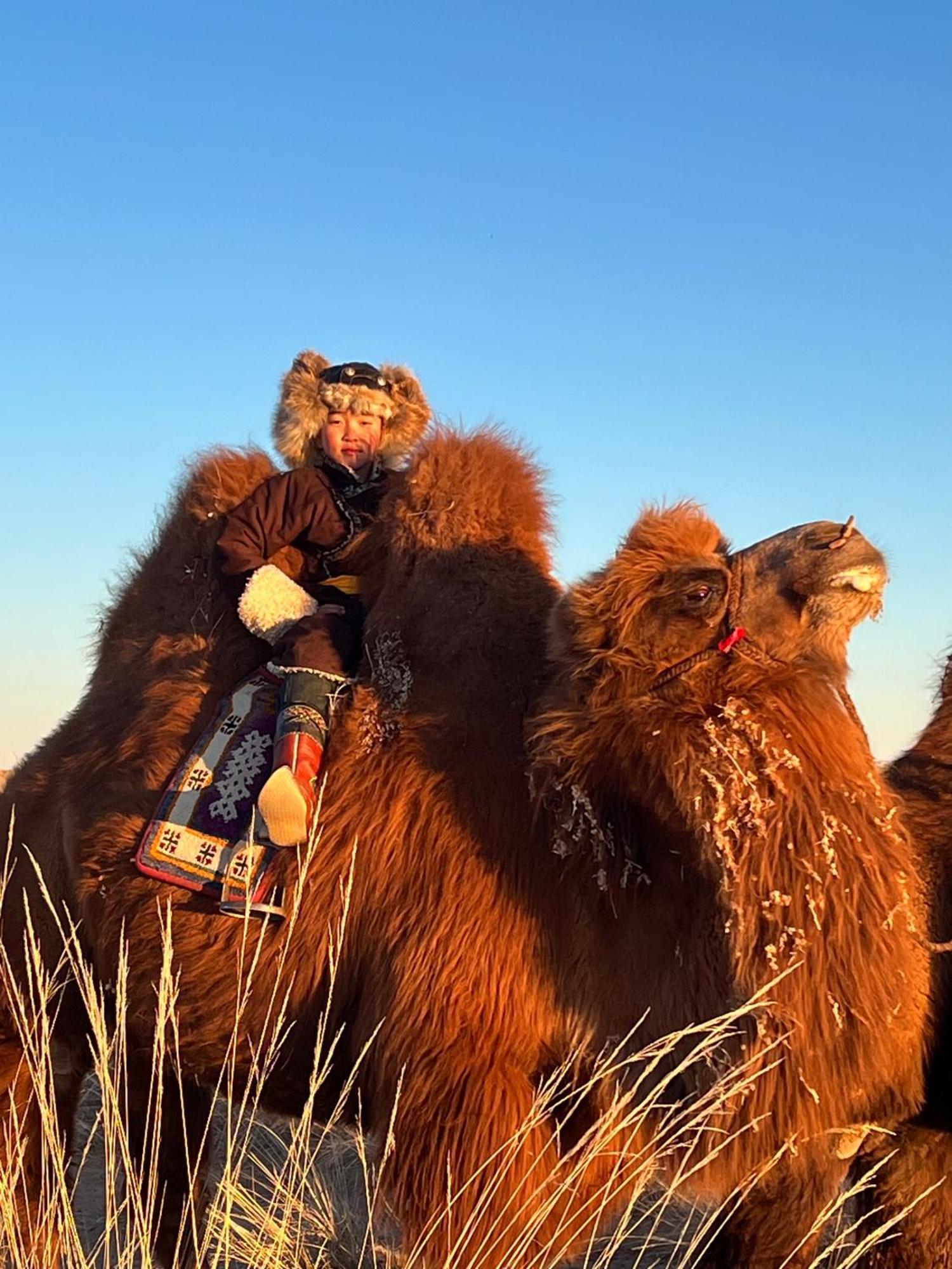 Gobi-Girl Ulan Bator Exterior foto